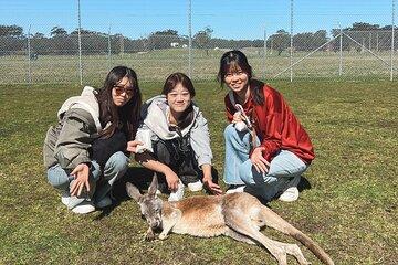 Newcastle: Animal Lovers Tour - Kangaroos, Dolphins & more!