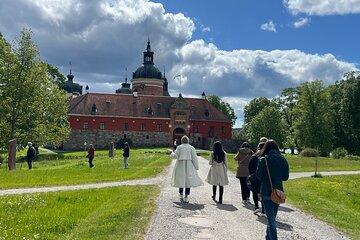 Gripsholm and Drottningholm Palace VIP Castle Tour in Luxury Car