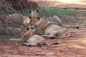 Explore Nairobi Private 5-Day Adventure