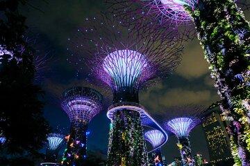 Singapore River Cruise, Garden Rhapsody and Spectra Light Show