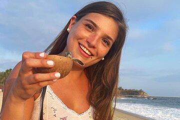 Release of Sea Turtles at Sunset