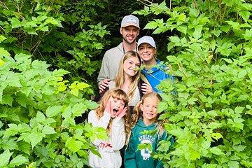 Rainforest Hiking/Walking Tour in Ketchikan Alaska (Private Tour)