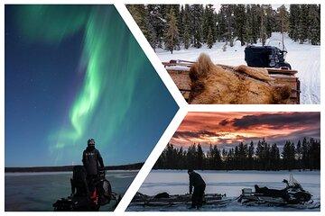 Sleigh ride night tour Rovaniemi