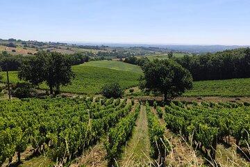 Gaillac Small Group Wine Escape EN Toulouse Check-out