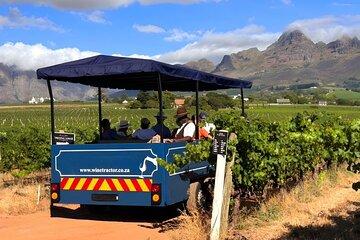 From Cape Town: Stellenbosch Wine Tractor Tour with Vineyard Hops