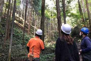 Tokyo Departure Nature Tour and Edo Castle Phone Stand Workshop
