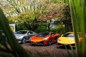 Half-Day Supercar Drive Experience from Auckland