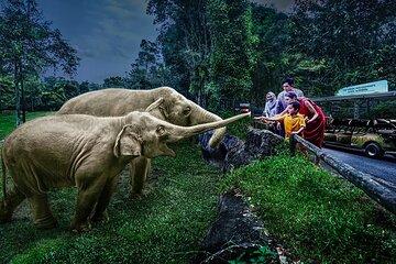 Night Safari Singapore Skip the Line Tickets with Tram Ride