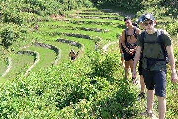 Best Seller | 2-Day Jungle Trek: Elephants, Raft & Karen Life