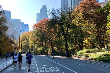 2 hour Explore Central Park and Run Along the Marathon Path