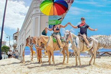 Combo Horse and City Tour Puerto Plata