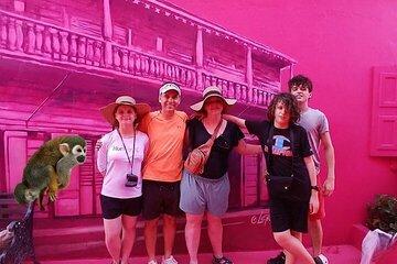 Combo : City Tours and Monkeys in Puerto Plata