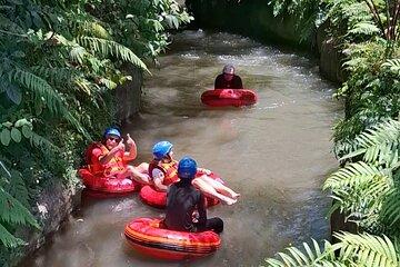 Day Tour at Ubud with Cave Tubing, Culture Tour and Rice Terrace