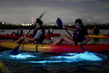 BioBay Kayak Tour with San Juan Roundtrip Transportation