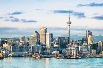 Private Auckland Shore Excursion: Half-Day City Highlights