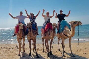 Tangier Luxury Private Day Tour From Tarifa including Camel ride
