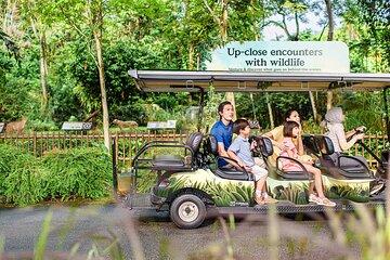 Singapore Zoo Tickets with Tram Ride