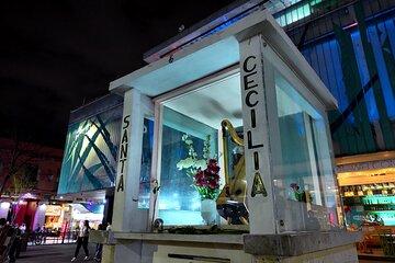 Garibaldi Nights Experience