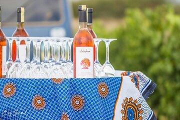 5 Day Vino Safari with Wine and Wildlife Adventure
