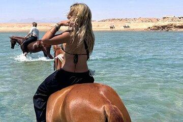 2 Hours Horse Ride Adventure in the Desert and Sea - Soma Bay