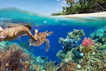 All Inclusive Bali Blue Lagoon Snorkeling Adventure
