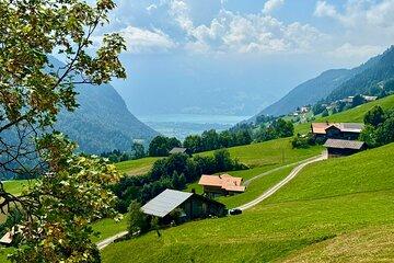 Habkern Alpine Ride and Cheese Experience E bike Tour