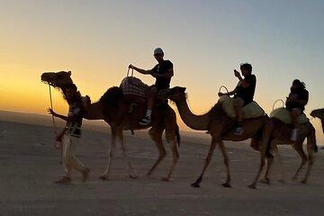 Private Agafay Desert Tour Camel Ride and ATV with Dinner Show