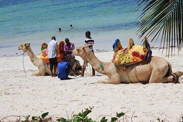 Camel Ride Adventure at Bamburi Beach