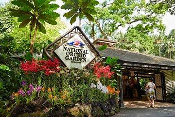 Book Singapore National Orchid Garden Tickets