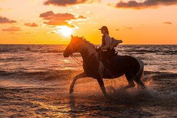 Horseback riding in Punta Cana