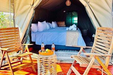 Pilanesberg National Park Tour from Johannesburg