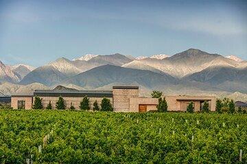 Winery Day in Uco Valley with Private Transfer