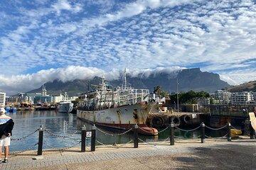 Cape Town and Peninsula Experience Table Mountain