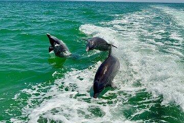 6 Hour Boat Tour With Dolphin Watching and Cabbage Key Island