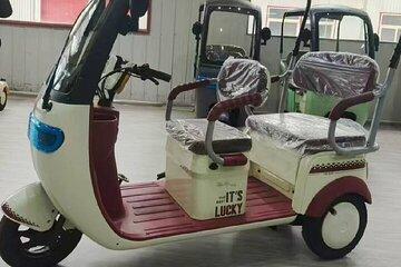 Eco Friendly TukTuk’s Arts and Historic City Tour