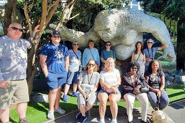 Wellington Movie Magic Private Tour