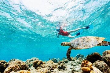 Blue Lagoon Beach Snorkeling Experience in East Bali