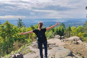 Oslo Scenic Forest Walk with Coffee and Traditional Waffles