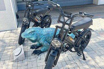Coastal E-Bike Adventure in Grand Cayman