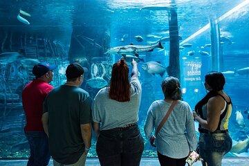 Tickets for Parque Explora: Science Museum & Aquarium
