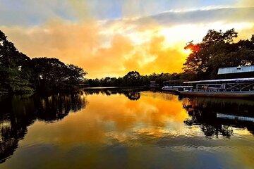 Klias River Cruise and Proboscis Monkey