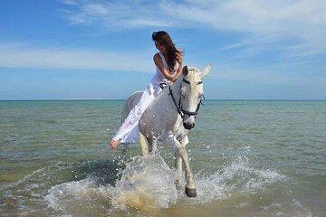 Horse Riding 3 Hours Adventure Desert, Beach & Sea Swim -El Gouna