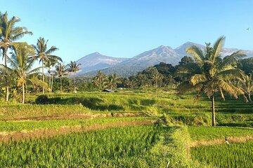 Full day tour lombok: waterfalls, tradition, rice field terrace