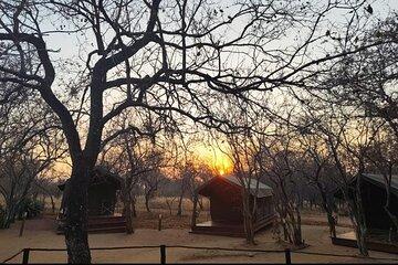 4 Day Glamping Safari in Kruger National Park