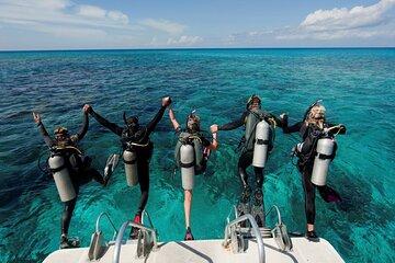 Scuba Diving Full Day for beginners With Lunch &Transfer–El Gouna