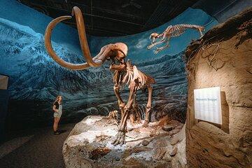 Day of Dinosaurs and Hoodoos From Calgary to the Drumheller
