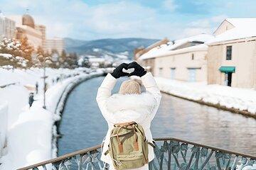 Otaru City Private Day Trip