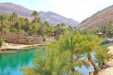 Full-Day Tour of Wadi Bani Khalid and Wahiba Sands Desert