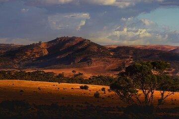Burra Township to Mount Bryan History and Landscape Day Tour