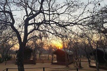 6 Day Glamping Safari in Kruger National Park